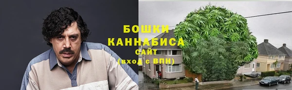 PSILOCYBIN Переславль-Залесский