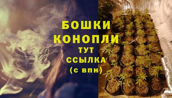 PSILOCYBIN Переславль-Залесский