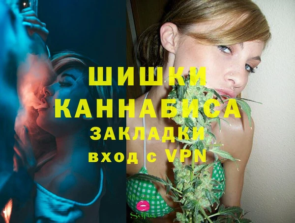 PSILOCYBIN Переславль-Залесский