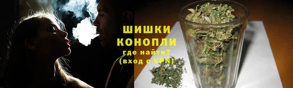 PSILOCYBIN Переславль-Залесский