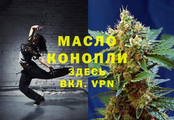 тгк Пересвет