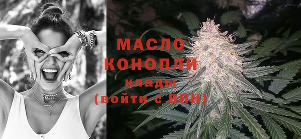тгк Пересвет
